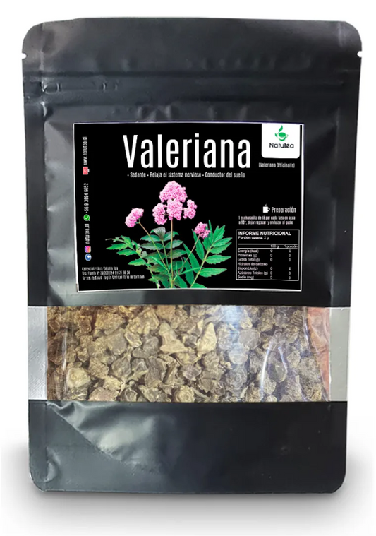 Valeriana – Infusión natural para soltar el cuerpo y la mente